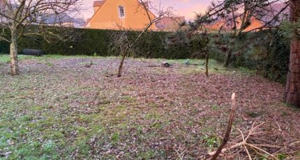 Champigny-sur-Marne Maison neuve - 2317802-11230annonce120251025UO7F0.jpeg Maisons France Confort