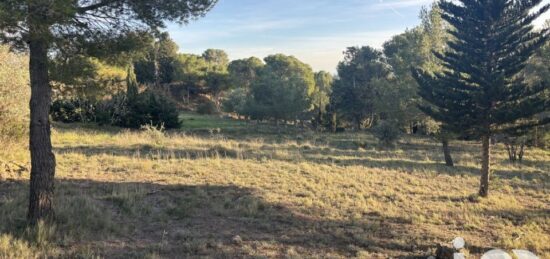 Terrain à bâtir à Lézignan-Corbières, Occitanie