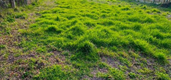 Maison neuve à , Gironde