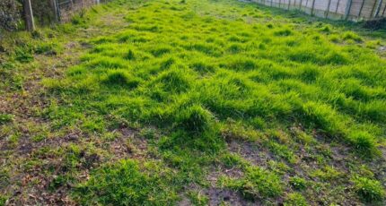 Le Bouscat Maison neuve - 2279571-11151annonce120250922gexoL.jpeg Maisons France Confort