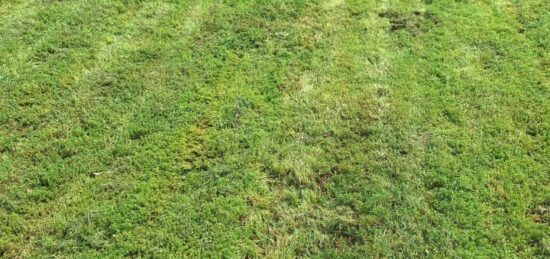 Terrain à bâtir à , Tarn-et-Garonne