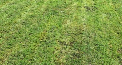 Verdun-sur-Garonne Maison neuve - 2318108-3575annonce2202510251Tw40.jpeg Maisons France Confort