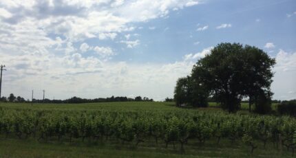 Salles Maison neuve - 2256730-11262annonce120250901X6Vtu.jpeg Maisons France Confort