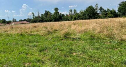 Confrançon Terrain à bâtir - 2281490-754annonce120250923Apykh.jpeg Maisons France Confort