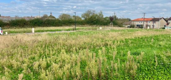 Terrain à bâtir à Saint-Paul-de-Varax, Auvergne-Rhône-Alpes