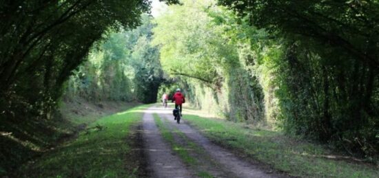 Terrain à bâtir à , Calvados