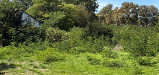 Terrain à bâtir à Portets, Nouvelle-Aquitaine