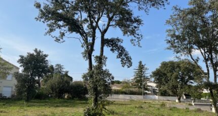 Bollène Terrain à bâtir - 2284255-6150annonce320240404MO4N5.jpeg Maisons France Confort