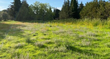 Grillon Terrain à bâtir - 2286099-6150annonce320230109MOfyx.jpeg Maisons France Confort