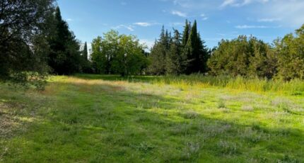 Grillon Terrain à bâtir - 2286099-6150annonce220230109hgDhT.jpeg Maisons France Confort