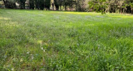 Grillon Terrain à bâtir - 2286099-6150annonce520230109oBNe0.jpeg Maisons France Confort