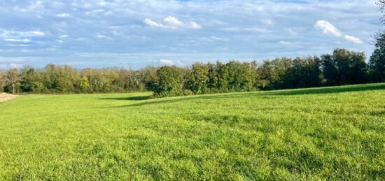 Terrain à bâtir à , Ain