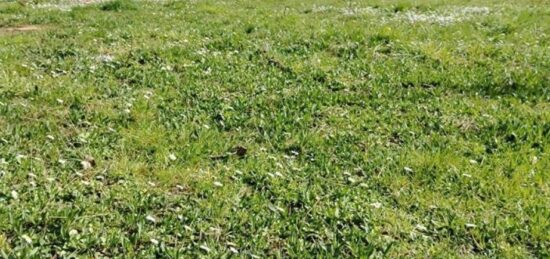 Terrain à bâtir à Trilport, Île-de-France