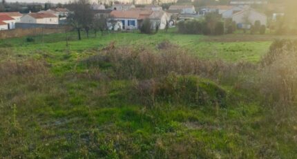 Veneux-les-Sablons Terrain à bâtir - 2286857-11233annonce120250929eflwo.jpeg Maisons France Confort