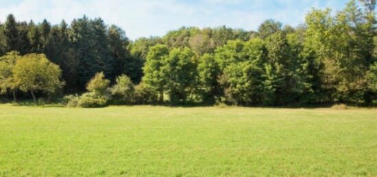 Terrain à bâtir à L'Isle-Adam, Île-de-France