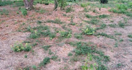 Fuveau Maison neuve - 2325144-11041annonce3202511010UhRl.jpeg Maisons France Confort