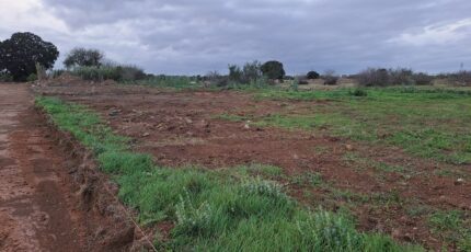 Fos-sur-Mer Terrain à bâtir - 2325161-11041annonce5202511013iXiS.jpeg Maisons France Confort