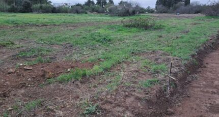 Fos-sur-Mer Maison neuve - 2325162-11041annonce220251101TBFTG.jpeg Maisons France Confort