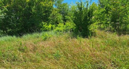 Meyrargues Terrain à bâtir - 2325165-11041annonce220251101sszKK.jpeg Maisons France Confort