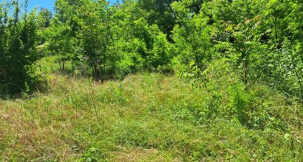 Meyrargues Terrain à bâtir - 2325165-11041annonce120251101TZde0.jpeg Maisons France Confort