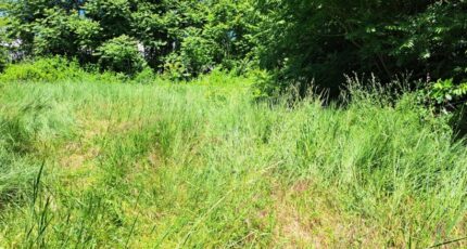 Meyrargues Maison neuve - 2325168-11041annonce320251101dlDsC.jpeg Maisons France Confort