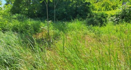 Meyrargues Maison neuve - 2325168-11041annonce520251101CfTro.jpeg Maisons France Confort