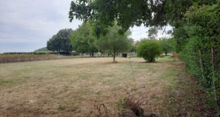 Lesparre-Médoc Maison neuve - 2325362-11151annonce120250408WgxtP.jpeg Maisons France Confort