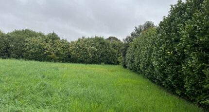 Loriol-sur-Drôme Terrain à bâtir - 2325423-6150annonce520251102iAiQP.jpeg Maisons France Confort