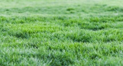 Honfleur Maison neuve - 2324205-11216annonce120251031tKXsd.jpeg Maisons France Confort