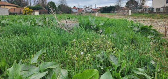 Terrain à bâtir à Feyzin, Auvergne-Rhône-Alpes
