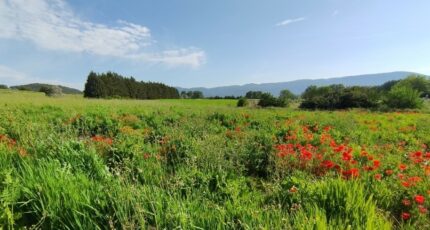 Gargas Terrain à bâtir - 2286716-2970annonce1202509297X8pX.jpeg Maisons France Confort