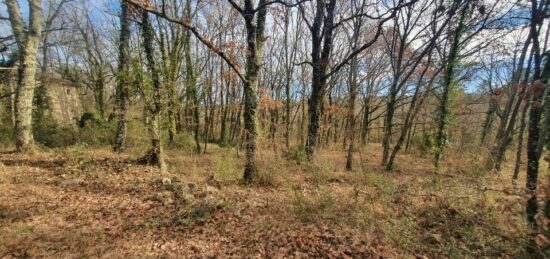 Terrain à bâtir à Chambonas, Auvergne-Rhône-Alpes