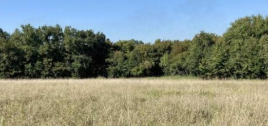 Terrain à bâtir à Libourne, Nouvelle-Aquitaine