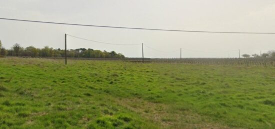 Terrain à bâtir à Saint-Quentin-de-Baron, Nouvelle-Aquitaine