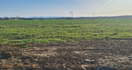 Castelsarrasin Terrain à bâtir - 2325852-3575annonce220251102Wuuxy.jpeg Maisons France Confort