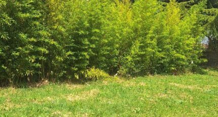 Cologne Maison neuve - 2325887-3575annonce220251102U6ayP.jpeg Maisons France Confort