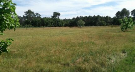 Le Barp Terrain à bâtir - 2326778-3127annonce120250711ASW61.jpeg Maisons France Confort