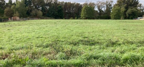 Maison neuve à , Gironde