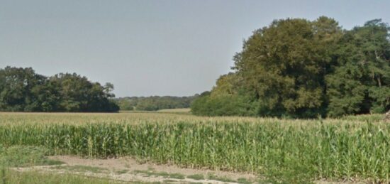 Terrain à bâtir à Sainte-Marie-de-Gosse, Nouvelle-Aquitaine