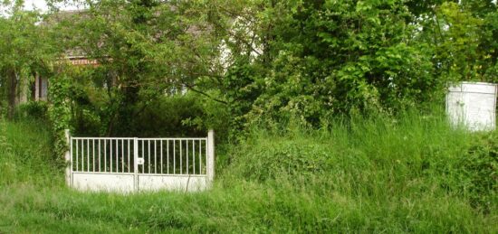 Terrain à bâtir à Saintry-sur-Seine, Île-de-France