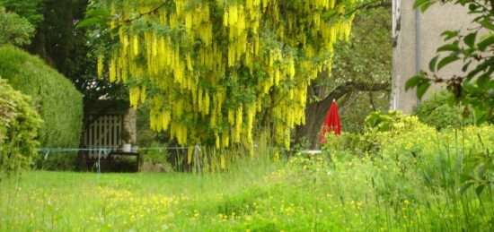 Terrain à bâtir à , Essonne