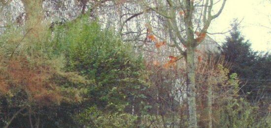 Terrain à bâtir à Courpalay, Île-de-France