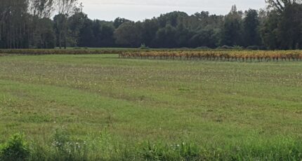 Saint-Savin Maison neuve - 2326237-11015annonce120251103Xk0Lp.jpeg Maisons France Confort