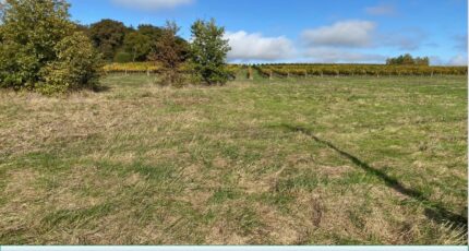 La Réole Maison neuve - 2327841-1086annonce120251104PdMyT.jpeg Maisons France Confort