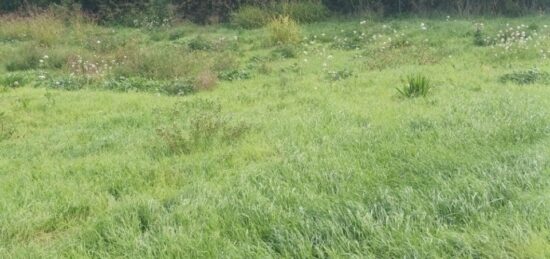 Terrain à bâtir à , Vaucluse