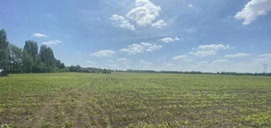Terrain à bâtir à Phalempin, Hauts-de-France