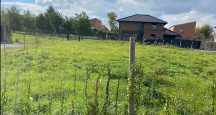 Rieulay Terrain à bâtir - 2328144-11632annonce120251104hKAx4.jpeg Maisons France Confort