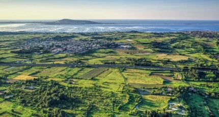 Loupian Terrain à bâtir - 2231684-3243annonce220241013BMhAR.jpeg Maisons France Confort