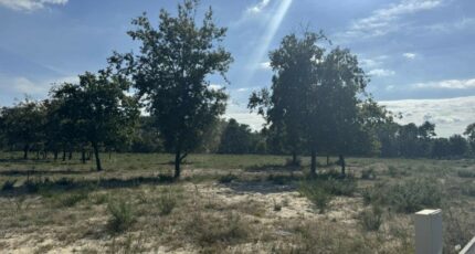 Vensac Terrain à bâtir - 2283797-10624annonce220250925dkwyX.jpeg Maisons France Confort