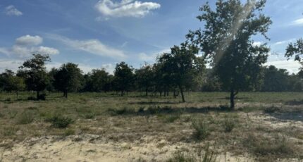 Vensac Maison neuve - 2284020-10624annonce120250925288DD.jpeg Maisons France Confort